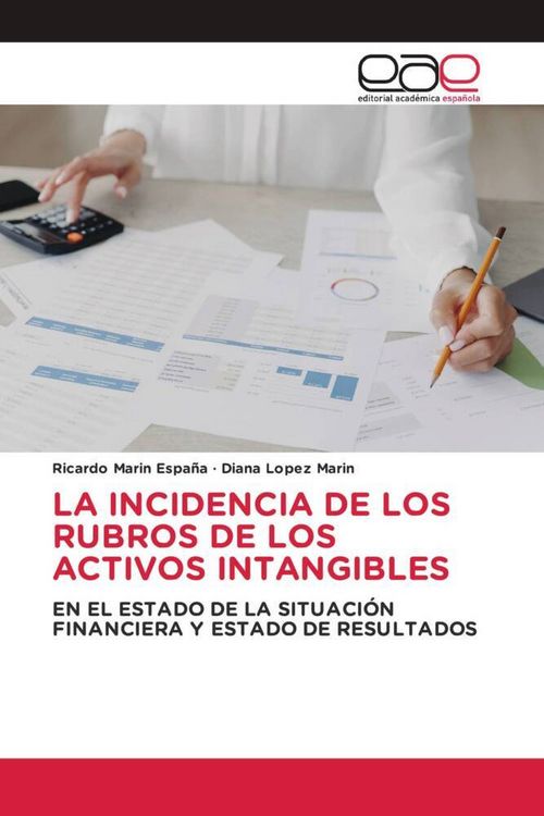 Produktbild: La Incidencia De Los Rubros De Los Activos Intangibles