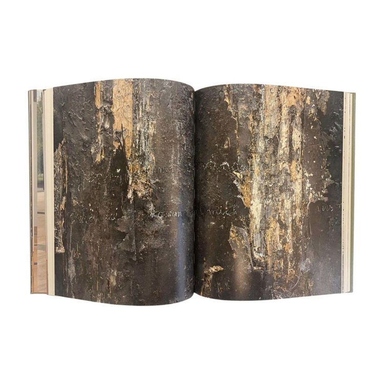 Produktbild: ANSELM KIEFER- Becoming the Sea