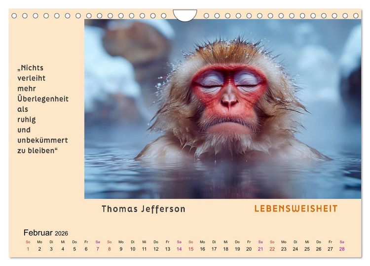 Produktbild: Pfiffig und weise (Wandkalender 2026 DIN A4 quer), CALVENDO Monatskalender