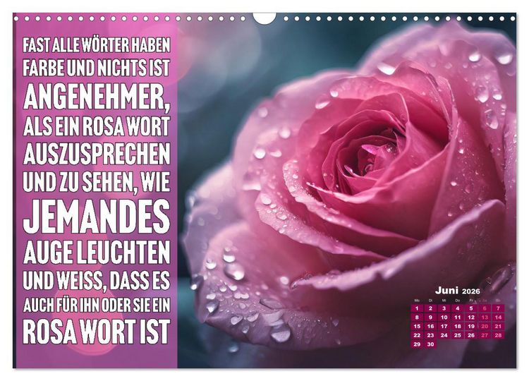 Produktbild: Lieblingsfarbe Rosa - mit coolen Spr&uuml;chen (Wandkalender 2026 DIN A3 quer), CALVENDO Monatskalender