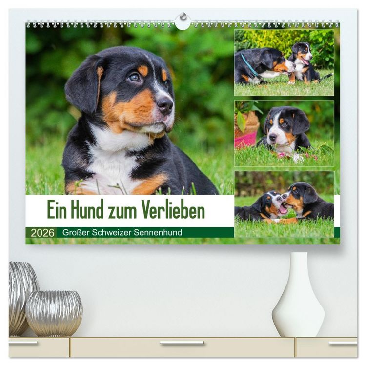 Produktbild: Ein Hund zum Verlieben - Gro&szlig;er Schweizer Sennenhund (hochwertiger Premium Wandkalender 2026 DIN A2 quer), Kunstdruck in Hochglanz