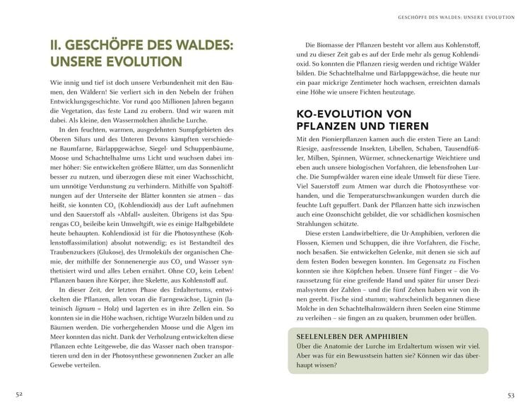 Produktbild: Wir sind Gesch&ouml;pfe des Waldes