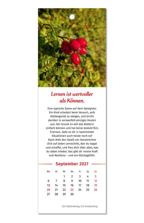 Produktbild: Der Lebensfreude-Lesezeichenkalender 2027