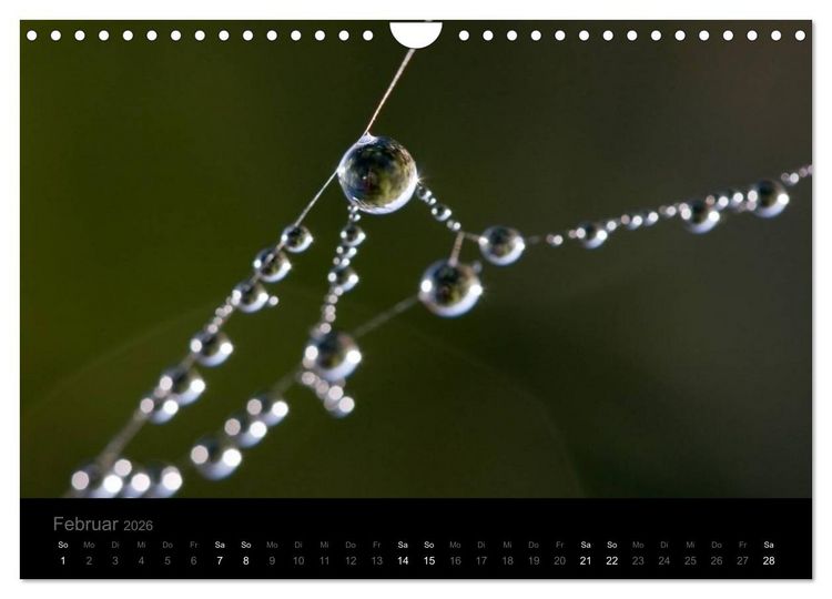 Produktbild: Natur im Detail (Wandkalender 2026 DIN A4 quer), CALVENDO Monatskalender
