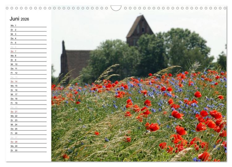 Produktbild: Die Jahreszeiten im Havelland (Wandkalender 2026 DIN A3 quer), CALVENDO Monatskalender