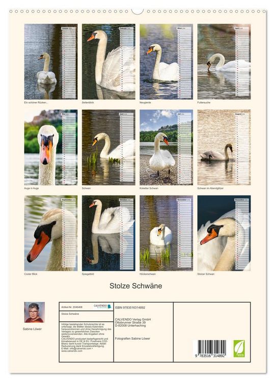 Produktbild: Stolze Schw&auml;ne (hochwertiger Premium Wandkalender 2026 DIN A2 hoch), Kunstdruck in Hochglanz