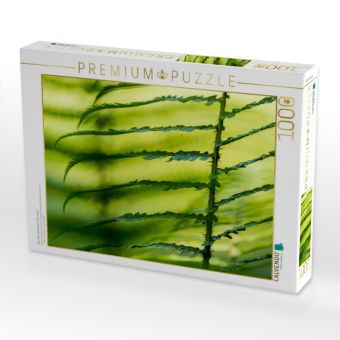 Produktbild: CALVENDO Puzzle Wurmfarn (Dryopteris filix-mas) | 1000 Teile Lege-Gr&ouml;&szlig;e 64x48cm Foto-Puzzle f&uuml;r gl&uuml;ckliche Stunden