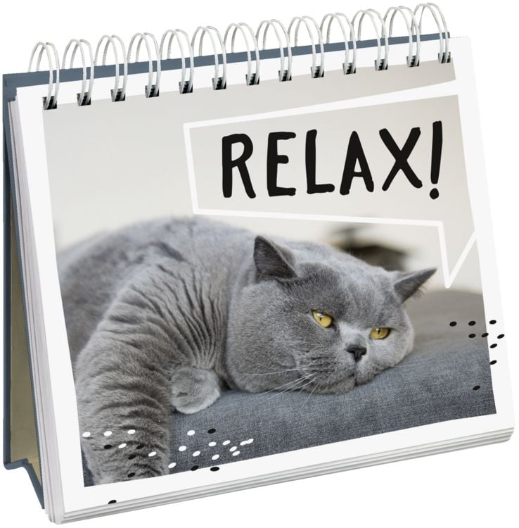 Produktbild: Cat philosophy