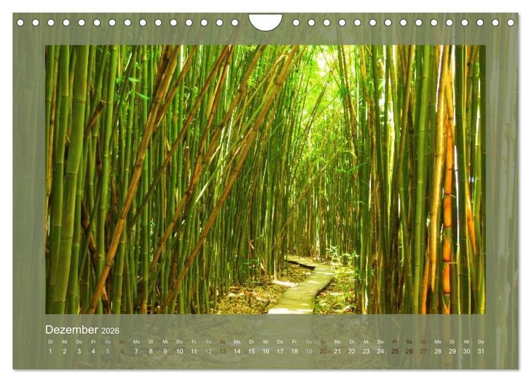 Produktbild: Bambus (Wandkalender 2026 DIN A4 quer), CALVENDO Monatskalender