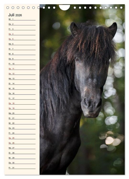 Produktbild: Isl&auml;nder Geburtstagskalender (Wandkalender 2026 DIN A4 hoch), CALVENDO Monatskalender