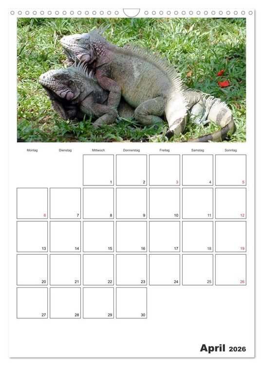 Produktbild: Venezuela - Land der Kontraste (Wandkalender 2026 DIN A3 hoch), CALVENDO Monatskalender