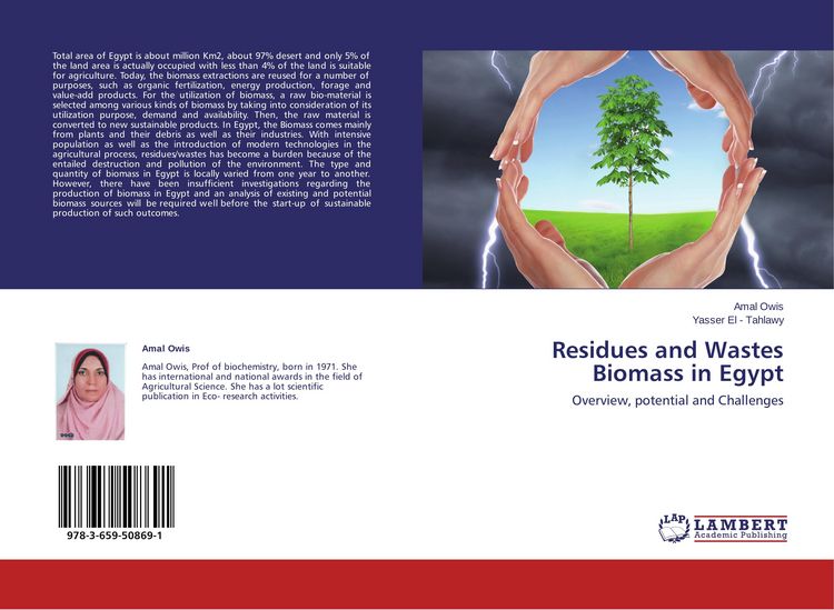 Produktbild: Residues and Wastes Biomass in Egypt