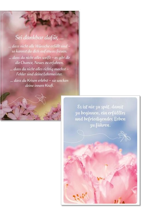 Produktbild: Die Lebensfreude-Postkarten. Genie&szlig;e dein Leben.