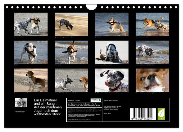 Produktbild: Ein Dalmatiner und ein Beagle - Auf der maritimen Jagd nach dem weltbesten Stock (Wandkalender 2026 DIN A4 quer), CALVENDO Monatskalender