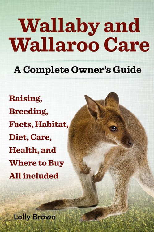Produktbild: Wallaby and Wallaroo Care. Raising, Breeding, Facts, Habitat, Diet, Care, Health, and Where to Buy All Included. a Complete Owner's Guide