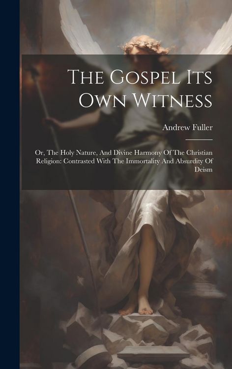 Produktbild: The Gospel Its Own Witness