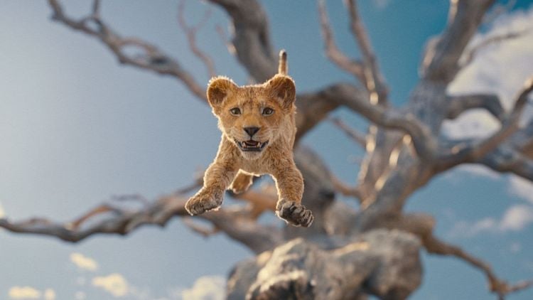 Produktbild: Mufasa - Der K&ouml;nig der L&ouml;wen - Steelbook - Limited Edition (4K Ultra HD) (+ Blu-ray)