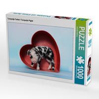 Produktbild: CALVENDO Puzzle Turopolje Ferkel / Turopolje Piglet 1000 Teile Lege-Gr&ouml;&szlig;e 64 x 48 cm Foto-Puzzle Bild von Jeanette Hutfluss