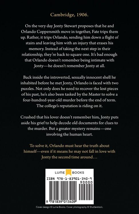 Produktbild: Lessons in Discovery: An enthralling murder-mystery romance