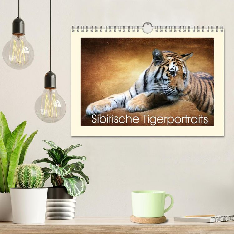 Produktbild: Sibirische Tigerportraits (Wandkalender 2026 DIN A4 quer), CALVENDO Monatskalender
