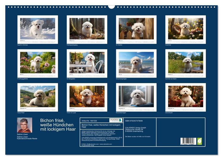 Produktbild: Bichon fris&eacute;, wei&szlig;e H&uuml;ndchen mit lockigem Haar (Wandkalender 2026 DIN A2 quer), CALVENDO Monatskalender