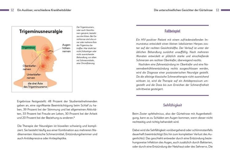 Produktbild: G&uuml;rtelrose