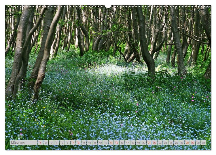 Produktbild: Bergell - Bergaglia (Wandkalender 2026 DIN A2 quer), CALVENDO Monatskalender