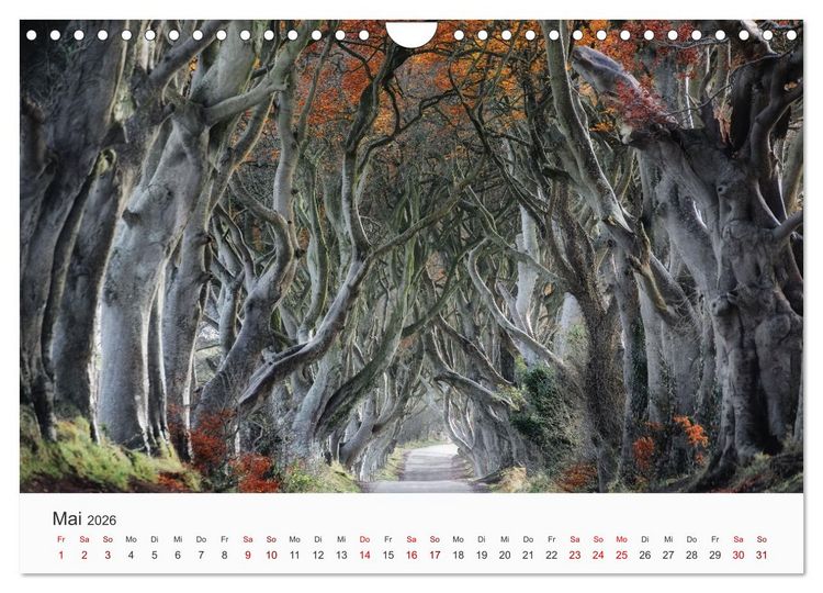Produktbild: Naturschauspiel Irland (Wandkalender 2026 DIN A4 quer), CALVENDO Monatskalender