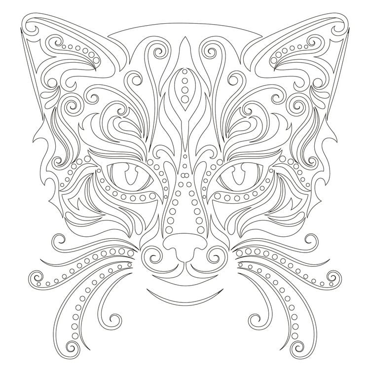 Produktbild: Achtsam & Kreativ. Katzen