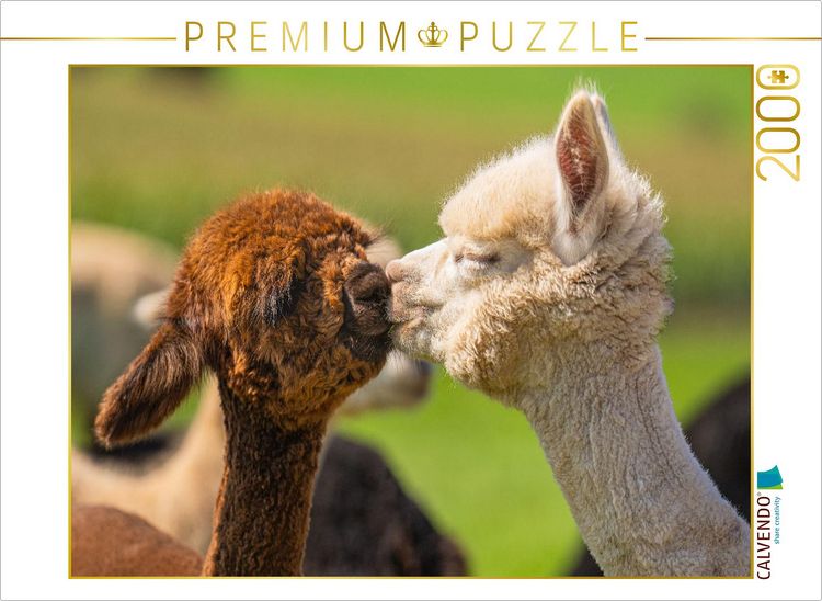Produktbild: CALVENDO Puzzle Alpakafohlen | 2000 Teile Lege-Gr&ouml;&szlig;e 90x67cm Foto-Puzzle f&uuml;r gl&uuml;ckliche Stunden