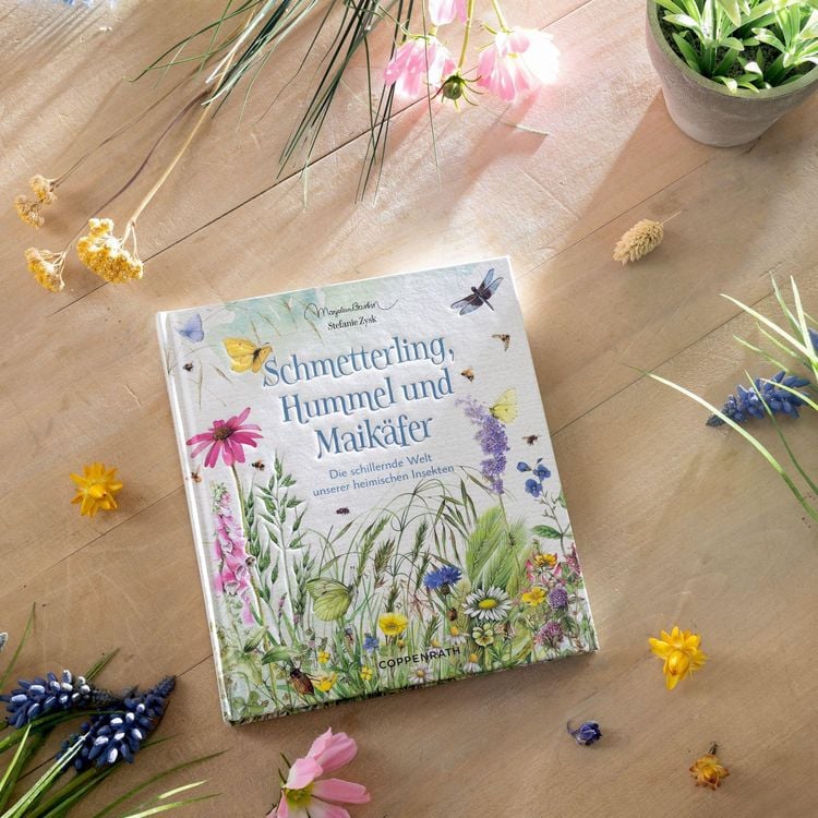 Produktbild: Schmetterling, Hummel und Maik&auml;fer