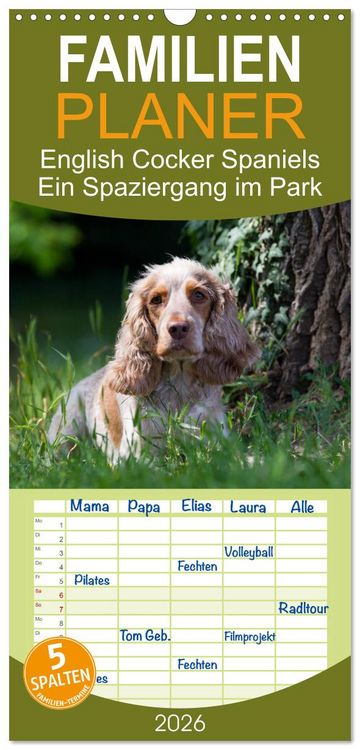 Produktbild: Familienplaner 2026 - English Cocker Spaniels - Ein Spaziergang im Park mit 5 Spalten (Wandkalender, 21 x 45 cm) CALVENDO