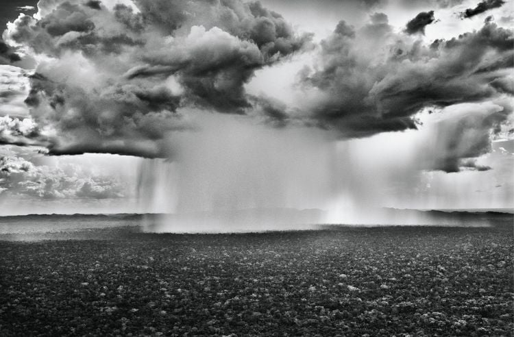 Produktbild: Amaz&ocirc;nia. Sebasti&atilde;o Salgado