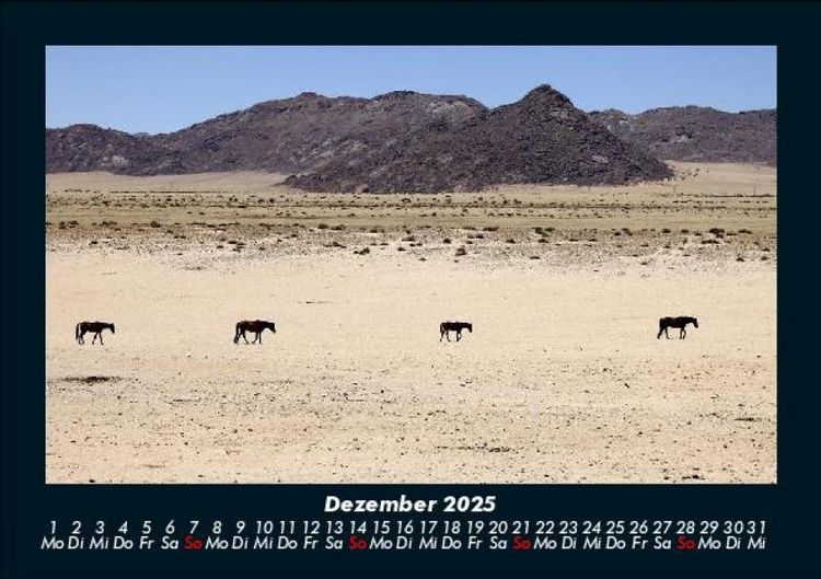 Produktbild: Pferdegefl&uuml;ster 2025 Fotokalender DIN A5