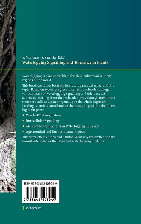 Produktbild: Waterlogging Signalling and Tolerance in Plants