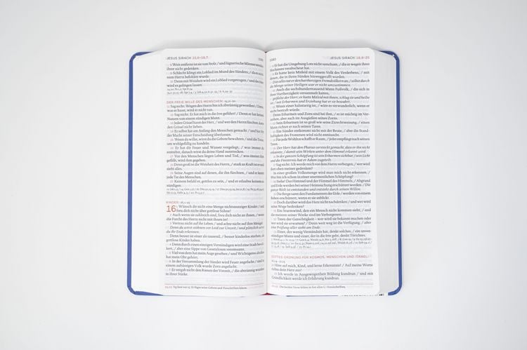 Produktbild: Die Bibel. Taschenausgabe Leder rustique mit Rei&szlig;verschluss