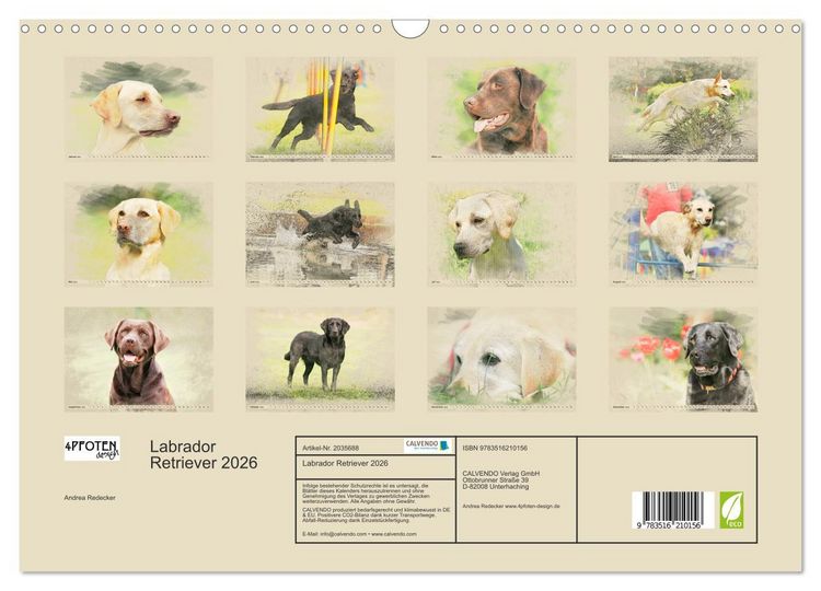 Produktbild: Labrador Retriever 2026 (Wandkalender 2026 DIN A3 quer), CALVENDO Monatskalender