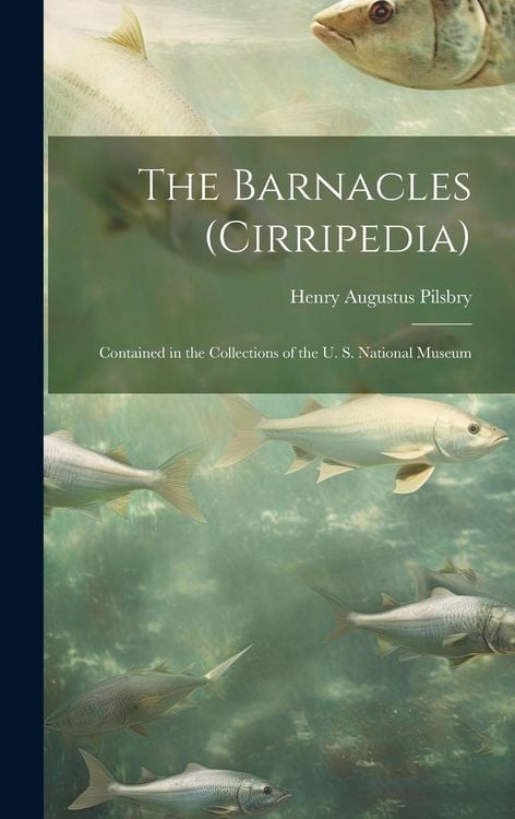 Produktbild: The Barnacles (Cirripedia): Contained in the Collections of the U. S. National Museum
