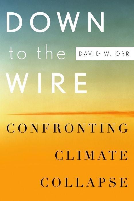 Produktbild: DOWN TO THE WIRE