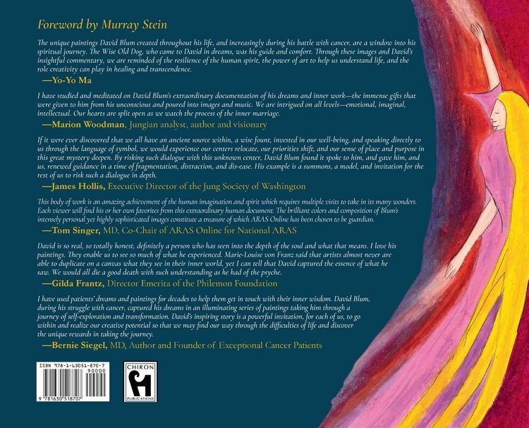Produktbild: Appointment with the Wise Old Dog: A Bridge to the Transformative Power of Dreams