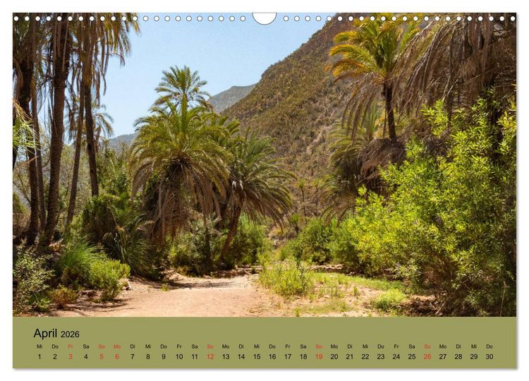 Produktbild: Abenteuer Marokko - eine Reise durch die Region Sous-Massa (Wandkalender 2026 DIN A3 quer), CALVENDO Monatskalender