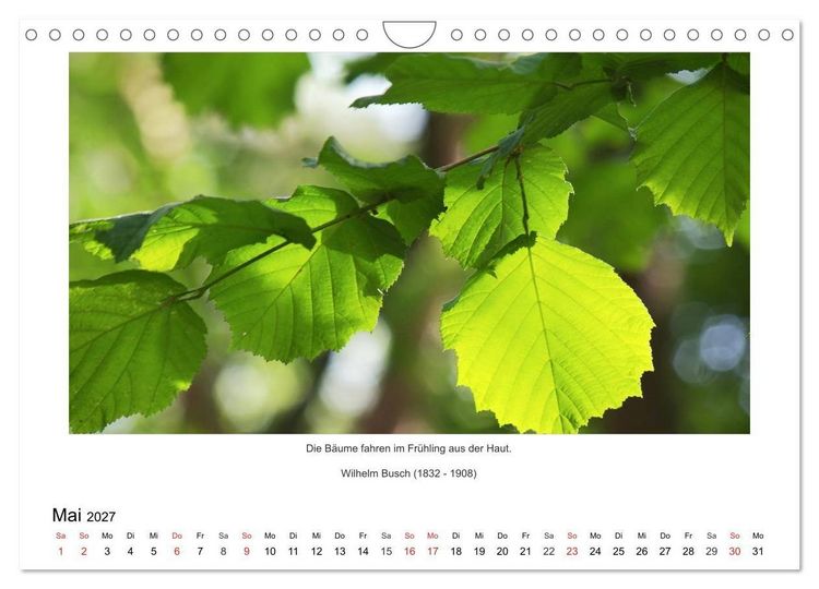 Produktbild: Der Naturkalender mit Zitaten und Spr&uuml;chen (Wandkalender 2027 DIN A4 quer), CALVENDO Monatskalender