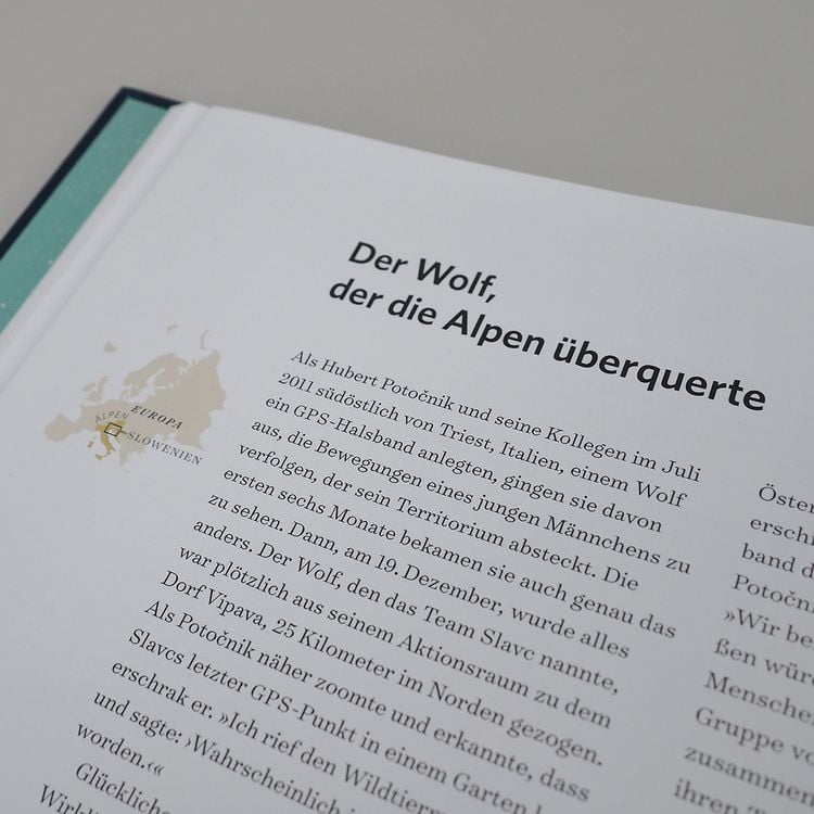 Produktbild: Die Wege der Tiere