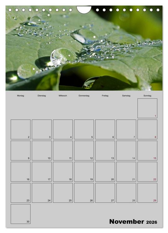 Produktbild: Zeitgewinn (Mein Terminplaner) (Wandkalender 2026 DIN A4 hoch), CALVENDO Monatskalender