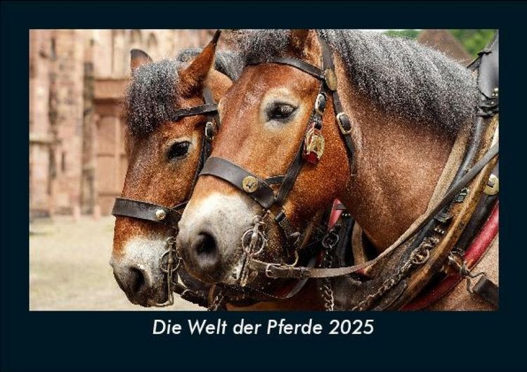 Produktbild: Die Welt der Pferde 2025 Fotokalender DIN A5