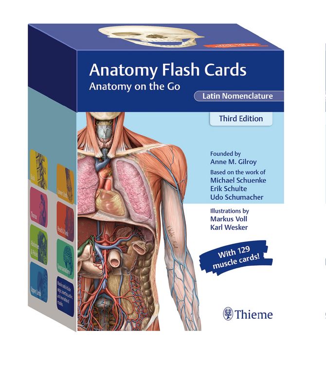Produktbild: Anatomy Flash Cards, Latin Nomenclature