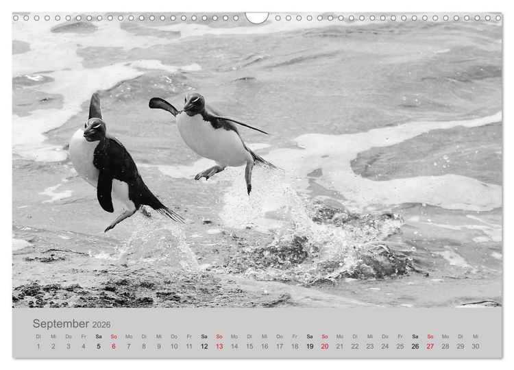 Produktbild: Die Seelen der wilden Tiere (Wandkalender 2026 DIN A3 quer), CALVENDO Monatskalender