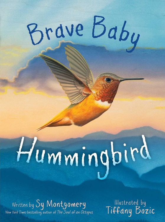 Produktbild: Brave Baby Hummingbird