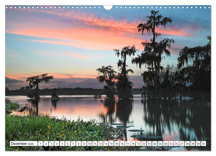 Produktbild: Louisiana - S&uuml;mpfe und Plantagenh&auml;user (Wandkalender 2026 DIN A3 quer), CALVENDO Monatskalender