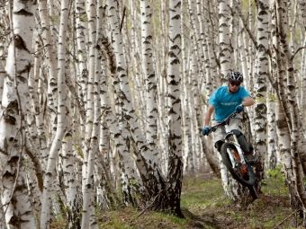Produktbild: CALVENDO Puzzle Birkenbiker | 1000 Teile Lege-Gr&ouml;&szlig;e 64x48cm Foto-Puzzle f&uuml;r gl&uuml;ckliche Stunden
